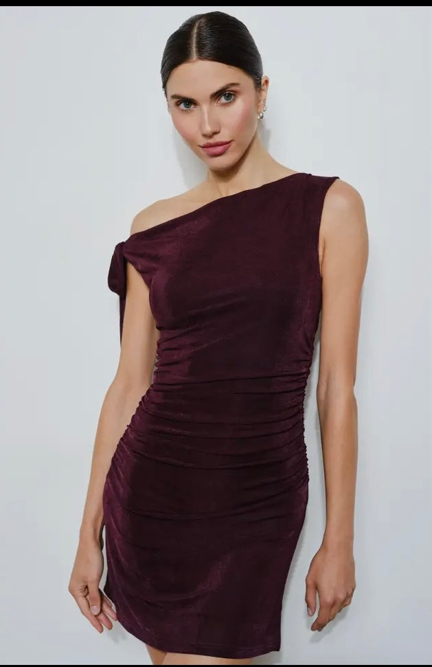 Toni Dress - Plum Wine