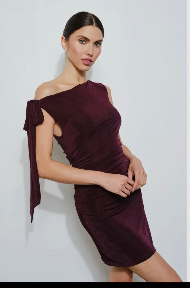 Toni Dress - Plum Wine